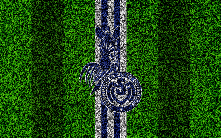 MSV Duisburg, 4k, German football clubs, football lawn, logo, emblem, blue white lines, Bundesliga 2, Duisburg, Germany, football, grass texture, Duisburg FC