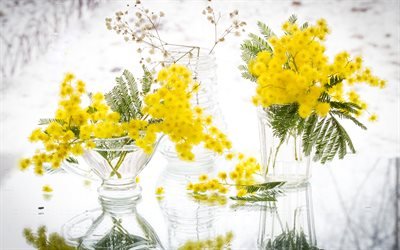mimosa, yellow spring flowers, spring, yellow flowers, vase with flowers