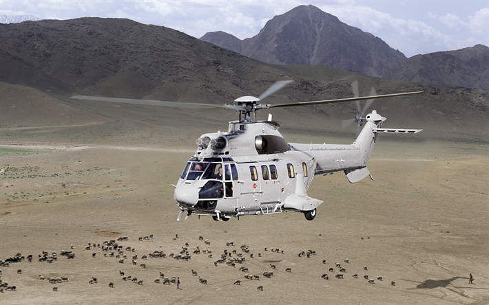 Eurocopter AS332 Super Puma, transport-flygplan, civil luftfart, AS332 Super Puma, Eurocopter