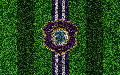 FC Erzgebirge Aue, 4k, German football club, football lawn, logo, emblem, purple white lines, Bundesliga 2, Aue, Germany, football, grass texture, Aue FC