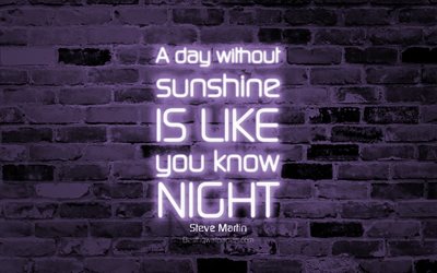 一日にな日差しがいの夜, 4k, 紫色のレンガ壁, スティーブンで引用符, 人気の引用符, ネオンテキスト, 感, スティーブ-マーティン, 引用符での生活