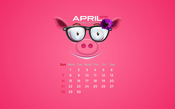 月2019年カレンダー, 4k, 春, ピンク色のつぼ, 2019年カレンダー, 月2019年, 創造, 月2019年カレンダーとの豚, カレンダー月2019年