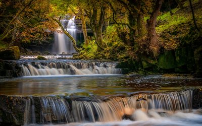 şelaleler, nehir, çağlayanlar, orman, su kavramları, güzel şelaleler, County Durham, İngiltere
