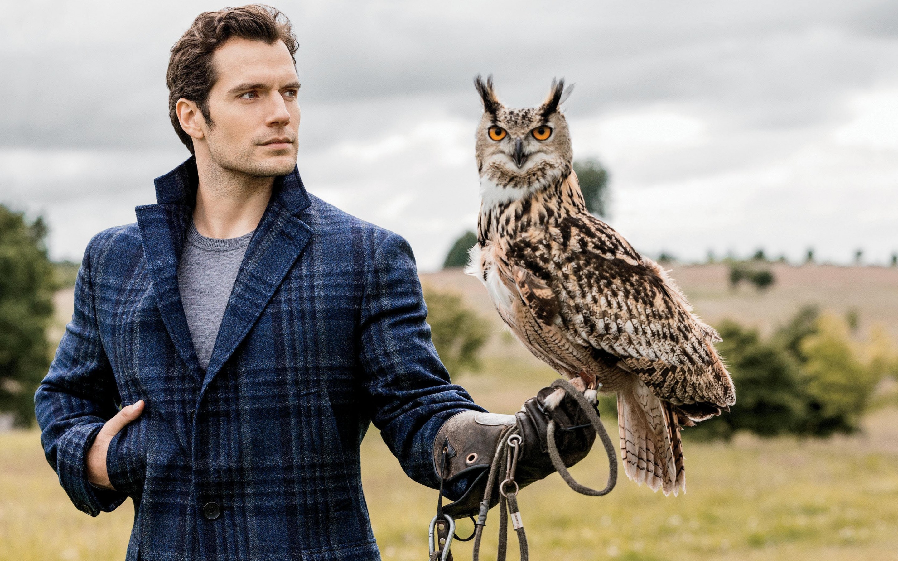 Henry Cavill, English actor, photoshoot, man with bird, eagle owl, blue Eng...