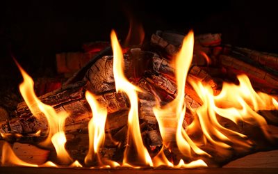 fire, 4k, firewood, fireplace, wood charcoal, flames, close-up