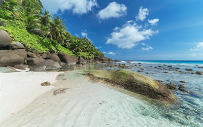 tropical islands, Maldives, ocean, tropics, palm trees, beach, sand, summer vacation