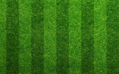 خطوط عمودية على العشب, 4k, العشب الأخضر الملمس, ماكرو, خلفية خضراء, خطوط عمودية, العشب القوام, العشب من أعلى, العشب خلفية, العشب الأخضر