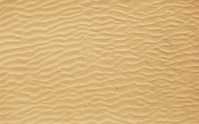 sand wellen textur, k&#252;ste, makro, sand hintergr&#252;nde, sand tetures, sand-pattern, sand
