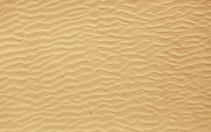 sand wellen textur, k&#252;ste, makro, sand hintergr&#252;nde, sand tetures, sand-pattern, sand