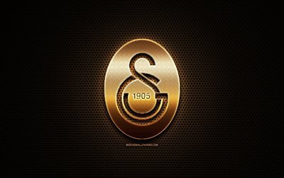 Galatasaray FC, glitter logo, Super Lig, turkish football club, metal grid background, Galatasaray glitter logo, football, soccer, Galatasaray SK, Turkey