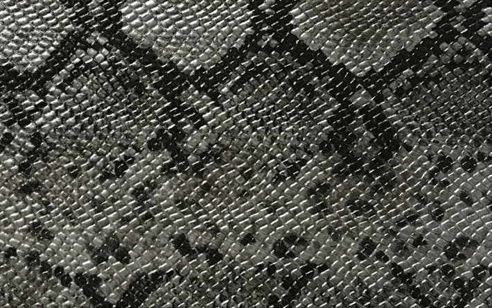gris peau de serpent texture, cobra texture de la peau, de cr&#233;ation d&#39;arri&#232;re-plan, la peau de serpent d&#39;arri&#232;re-plan