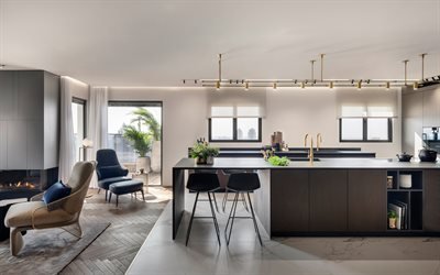 elegante design di interni, appartamenti, stile minimal, soggiorno, cucina, arredamento di design
