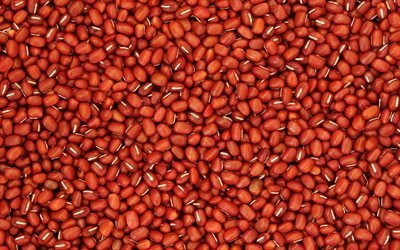 الأحمر الحبوب الملمس, الخلفية مع الحبوب, الفاصوليا الحمراء الملمس, للثقافة الزراعية