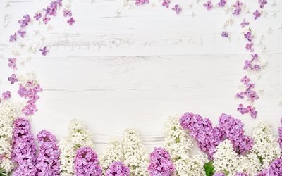 lilac frame, flower frame, purple spring flowers, wooden background, wooden texture, lilac, floral frames