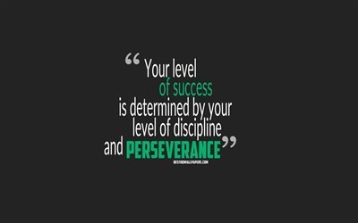 Your level of success is determined by your level of discipline and perseverance, quotes about success, motivation, gray background, popular quotes