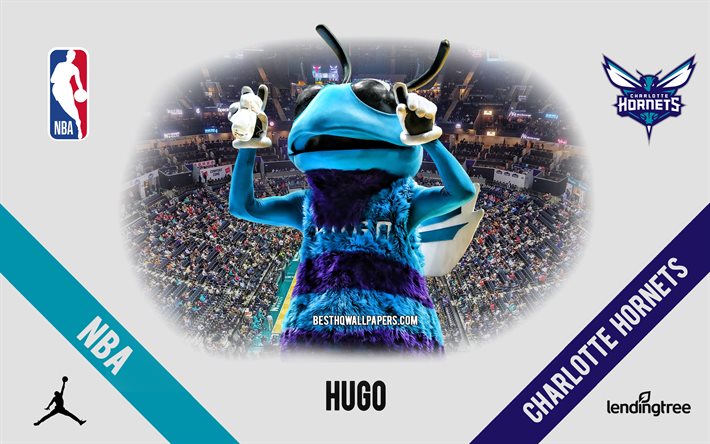 Hugo, mascote, Charlotte Hornets, NBA, retrato, EUA, basquete, Spectrum Center, Charlotte Hornets logotipo