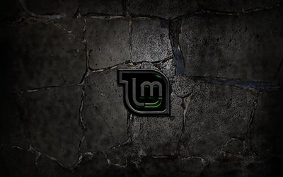 Linux Mint grunge logotipo, criativo, pedra de fundo, Linux Mint logotipo, sistemas operacionais, Linux Mint, Linux