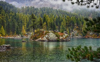 mountain lake, rain, forest, mountain landscape, summer rain, island in the middle of the lake, green forest, green trees