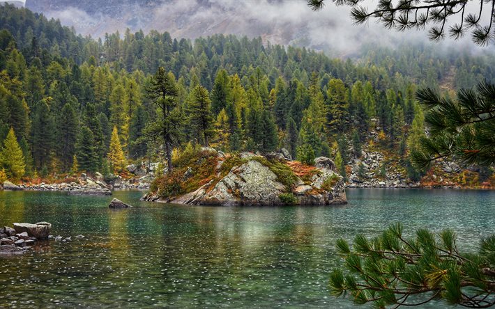 lago di montagna, pioggia, foresta, paesaggio di montagna, la pioggia d&#39;estate, isola in mezzo al lago, verde foresta, verde di alberi