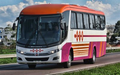Marcopolo Viaggio 1050, HDR, 2016 buses, passenger transport, Marcopolo Buses, 2016 Marcopolo Viaggio 1050, violet bus, Marcopolo