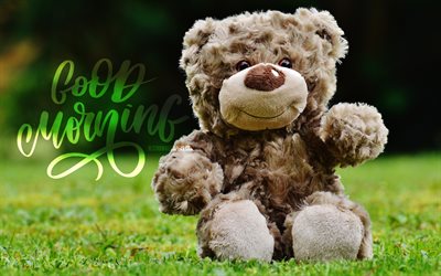 4K, Good Morning, green lawn, teddy bear, creative, Good Morning concepts, Good Morning Wish