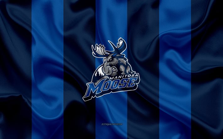 Manitoba Moose, Canadian Hockey Club, emblem, silk flag, blue silk texture, AHL, Manitoba Moose logo, Winnipeg, Manitoba, Canada, USA, hockey, American Hockey League