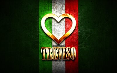 Amo Treviso, citt&#224; italiane, golden iscrizione, Italia, cuore d&#39;oro, bandiera italiana, Treviso, citt&#224; preferite, Amore Treviso