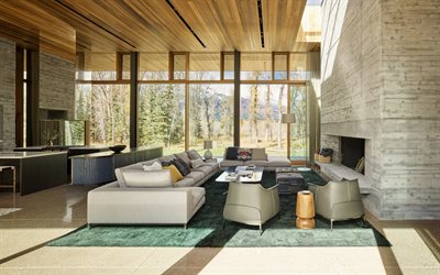sala de estar, casa de campo, lareira, estilo loft, lareira de concreto, lareira estilo loft, design de interiores elegante