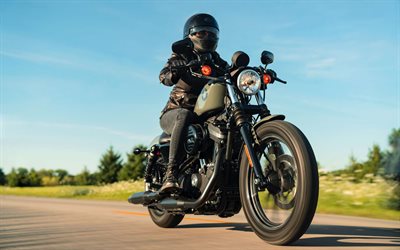 Harley-Davidson Iron 883, valtatie, 2021 polkupy&#246;r&#228;&#228;, superbike, biker, 2021 Harley-Davidson Iron 883, Harley-Davidson Iron XL 883N, amerikkalaiset moottoripy&#246;r&#228;t, Harley-Davidson