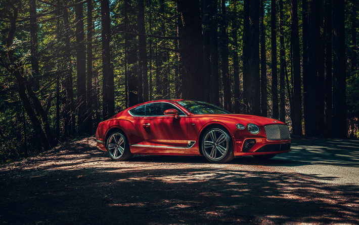 Bentley Continental GT, 2019, exterior, front view, red luxury coupe, new red Continental GT, car in the forest, British cars, Bentley