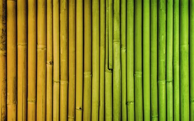 colorful bamboo texture, 4k, colorful bambusoideae sticks, macro, vertical bamboo texture, bamboo textures, bambusoideae sticks, bamboo canes, bamboo sticks, colorful wooden background, bamboo