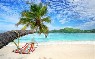 blue lagoon, beach, palm tree over water, hammock on palm tree, tropical island, summer travel