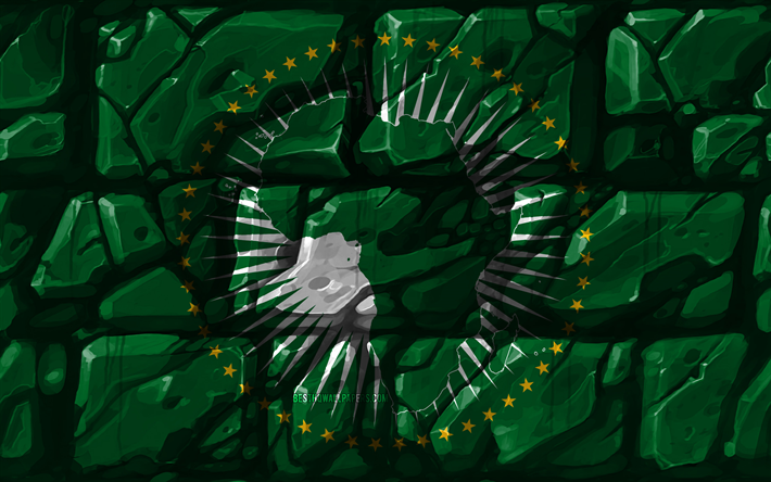 Afrikanska Unionens flagga, brickwall, 4k, Afrikanska l&#228;nder, nationella symboler, Flagga av Afrikanska Unionen, kreativa, Afrikanska Unionen, Afrika, Afrikanska Unionen 3D-flagga