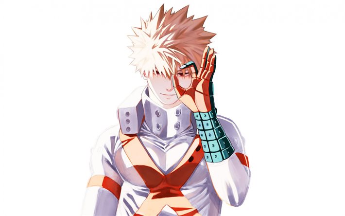 Il mio Eroe del mondo Accademico, Katsuki Bakugou, Boku No Hero Academia, personaggi principali, manga, personaggi di anime