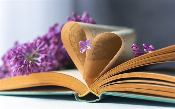 coeur avec des pages de livres, concepts de romance, lecture, livres, concepts de coeur