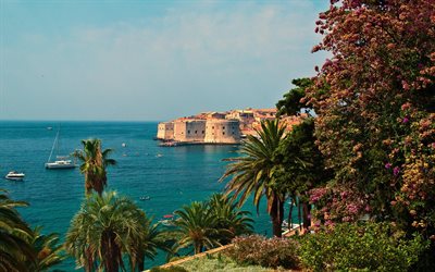 Dubrovnik, la baie, la Mer Adriatique, blanc yacht, paysage marin, Croatie