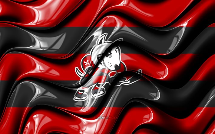 Drapeau Niagara IceDogs, 4k, vagues 3D rouges et noires, OHL, &#233;quipe canadienne de hockey, logo Niagara IceDogs, hockey, Niagara IceDogs, Canada