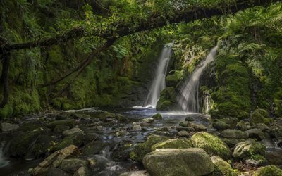 waterfall, forest, river, stones, Venford Brook Falls, Devon, Dartmoor