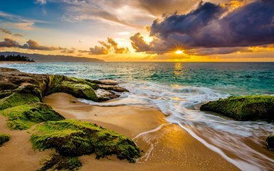 sunset, ocean, palm trees, island, Hawaii, clouds, coast