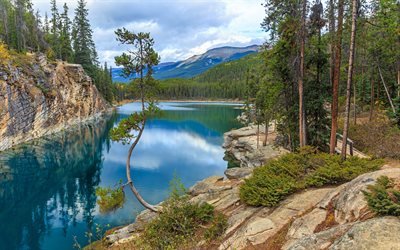 馬蹄湖, アルバータ州, 森林, 山の風景, カナダ