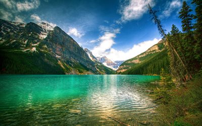 Lake Louise, mountain lake, 4k, mountains, forest, Canada, Banff national park, Alberta