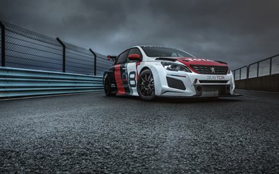 Peugeot 308 TCR, en 2018, le Racing Cup, course de voiture, tuning, piste de course, Peugeot