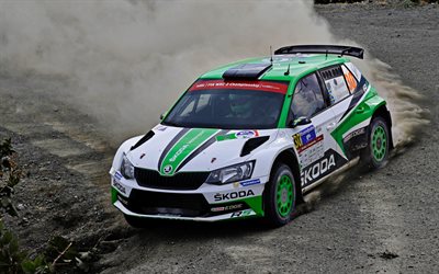 Skoda Fabia R5, 2017, Campionato Mondiale di Rally-2, spinotto, auto da corsa, rally, WRC-2, Pontus Tidemand, Jonas Andersson