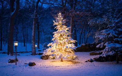 christmas tree in park, 4k, Happy New Year, snowdrifts, xmas trees, christmas trees, christmas concepts