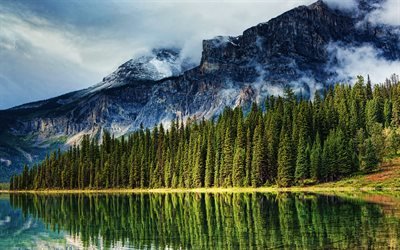Canada, 4k, forest, mountains, beautiful nature, HDR, North America, Banff