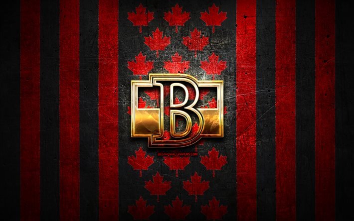 Belleville Senators flag, AHL, red black metal background, canadian hockey team, Belleville Senators logo, Canada, hockey, golden logo, Belleville Senators