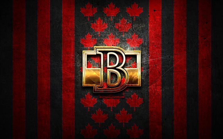 Download wallpapers Belleville Senators flag, AHL, red black metal  background, canadian hockey team, Belleville Senators logo, Canada, hockey,  golden logo, Belleville Senators for desktop free. Pictures for desktop free