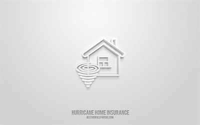 Hurricane Home Insurance 3d icon, white background, 3d symbols, Hurricane Home Insurance, Insurance icons, 3d icons, Hurricane Home Insurance sign, Insurance 3d icons