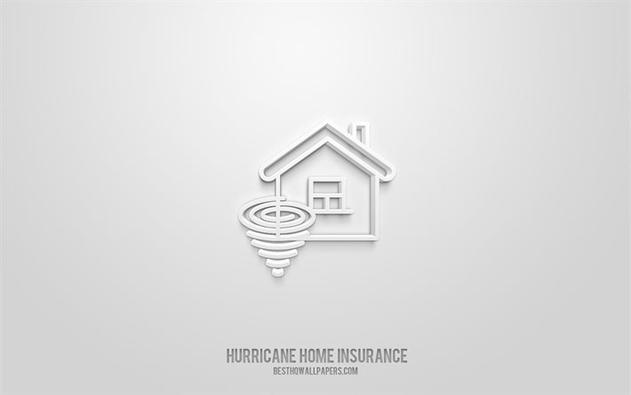 ハリケーン住宅保険の3Dアイコン, 白背景, 3Dシンボル, ハリケーン住宅保険, 保険アイコン, 3D图标, ハリケーン住宅保険のサイン, 保険の3Dアイコン