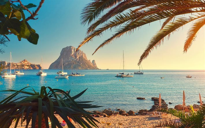 Ibiza, soir, coucher du soleil, mer M&#233;diterran&#233;e, c&#244;te, paysage marin, palmiers, yachts, Espagne, palmiers sur le fond de la mer